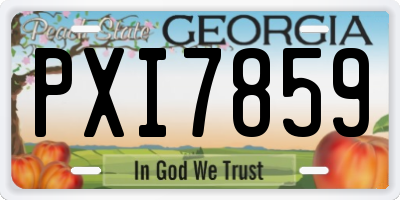 GA license plate PXI7859