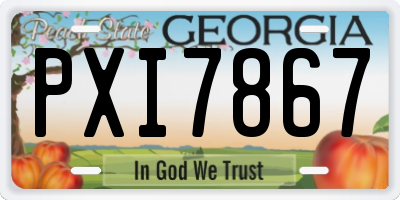 GA license plate PXI7867