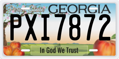 GA license plate PXI7872