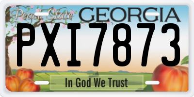 GA license plate PXI7873