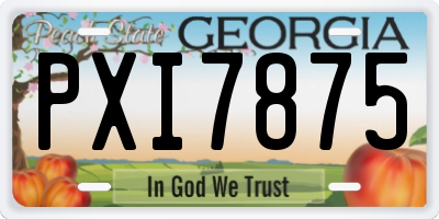 GA license plate PXI7875
