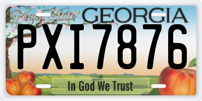 GA license plate PXI7876