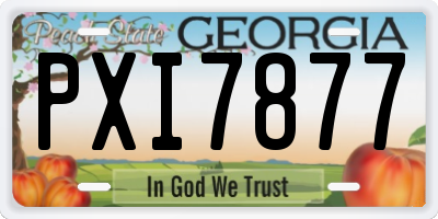 GA license plate PXI7877