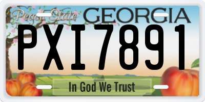 GA license plate PXI7891