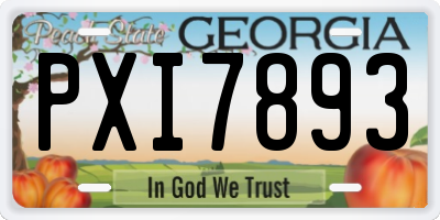 GA license plate PXI7893