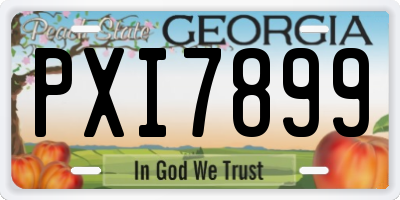 GA license plate PXI7899