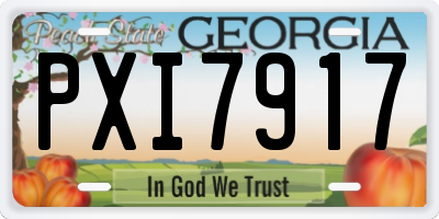 GA license plate PXI7917