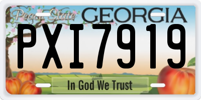 GA license plate PXI7919