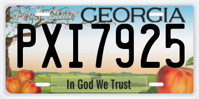 GA license plate PXI7925