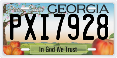 GA license plate PXI7928