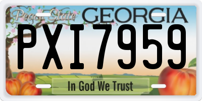 GA license plate PXI7959