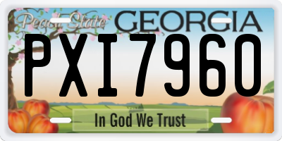 GA license plate PXI7960