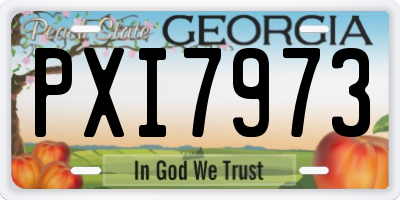 GA license plate PXI7973