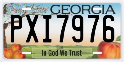 GA license plate PXI7976