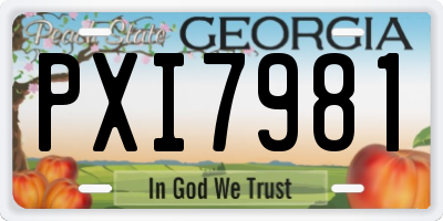 GA license plate PXI7981
