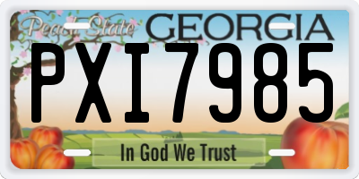 GA license plate PXI7985