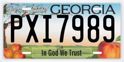 GA license plate PXI7989
