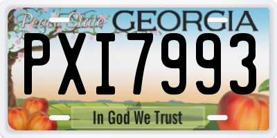 GA license plate PXI7993