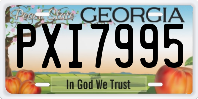 GA license plate PXI7995