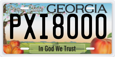 GA license plate PXI8000
