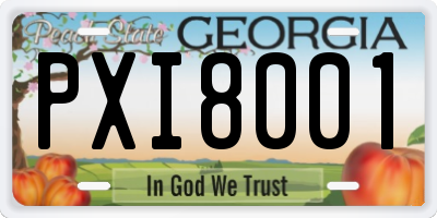 GA license plate PXI8001
