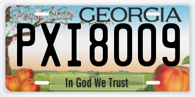 GA license plate PXI8009