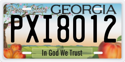 GA license plate PXI8012