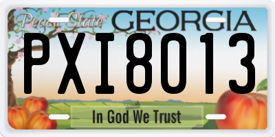GA license plate PXI8013
