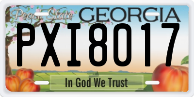 GA license plate PXI8017