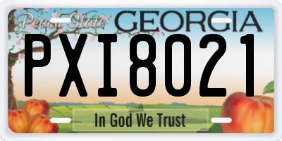 GA license plate PXI8021