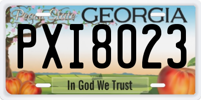 GA license plate PXI8023