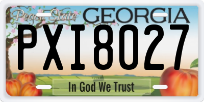 GA license plate PXI8027