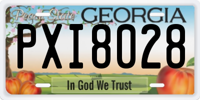 GA license plate PXI8028