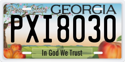GA license plate PXI8030
