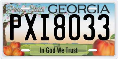 GA license plate PXI8033