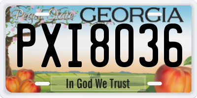 GA license plate PXI8036