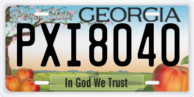 GA license plate PXI8040
