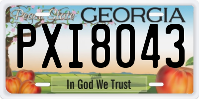 GA license plate PXI8043