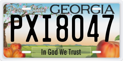 GA license plate PXI8047