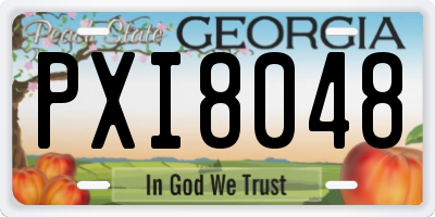 GA license plate PXI8048