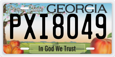 GA license plate PXI8049