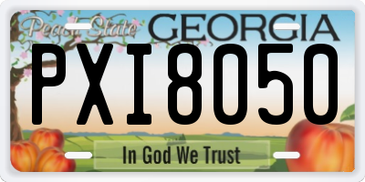 GA license plate PXI8050