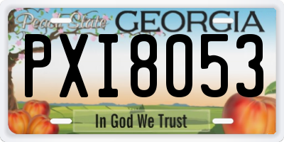 GA license plate PXI8053