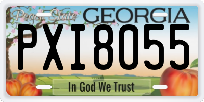 GA license plate PXI8055