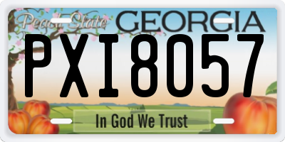 GA license plate PXI8057