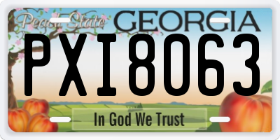 GA license plate PXI8063