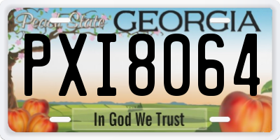 GA license plate PXI8064