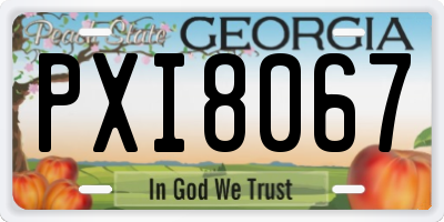 GA license plate PXI8067