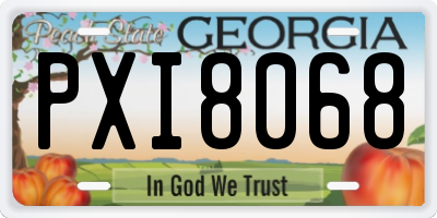GA license plate PXI8068