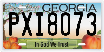 GA license plate PXI8073